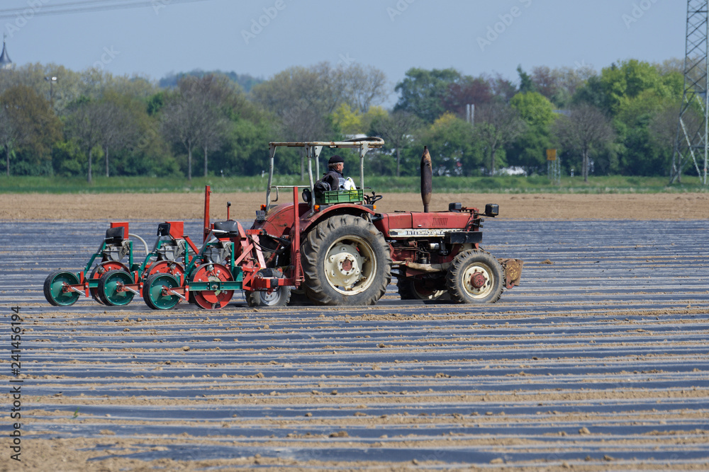 Fototapeta premium Traktor mit Sämaschine