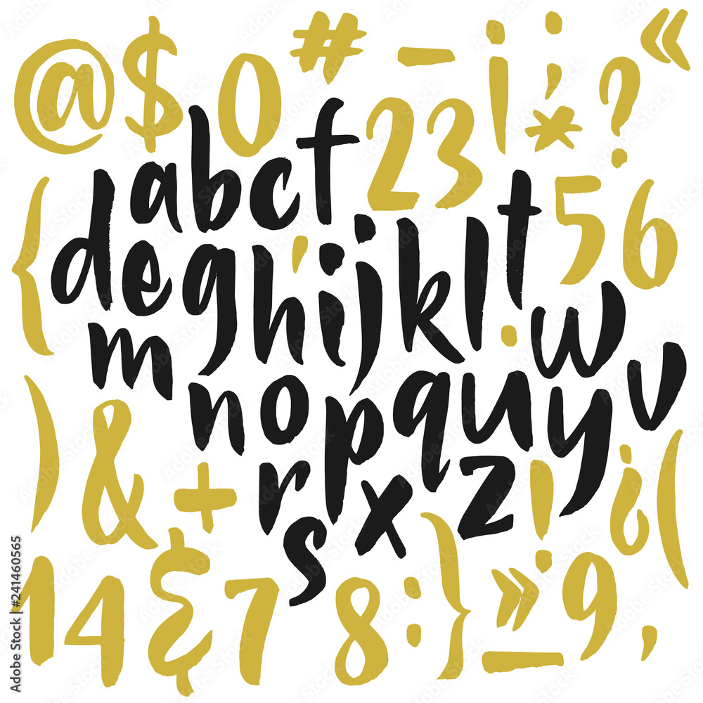 Latin calligraphic alphabet written with brush Latin calligraphic alphabet written with brush