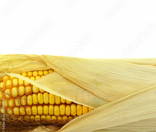 Foto Dry corn ears isolated over a white background