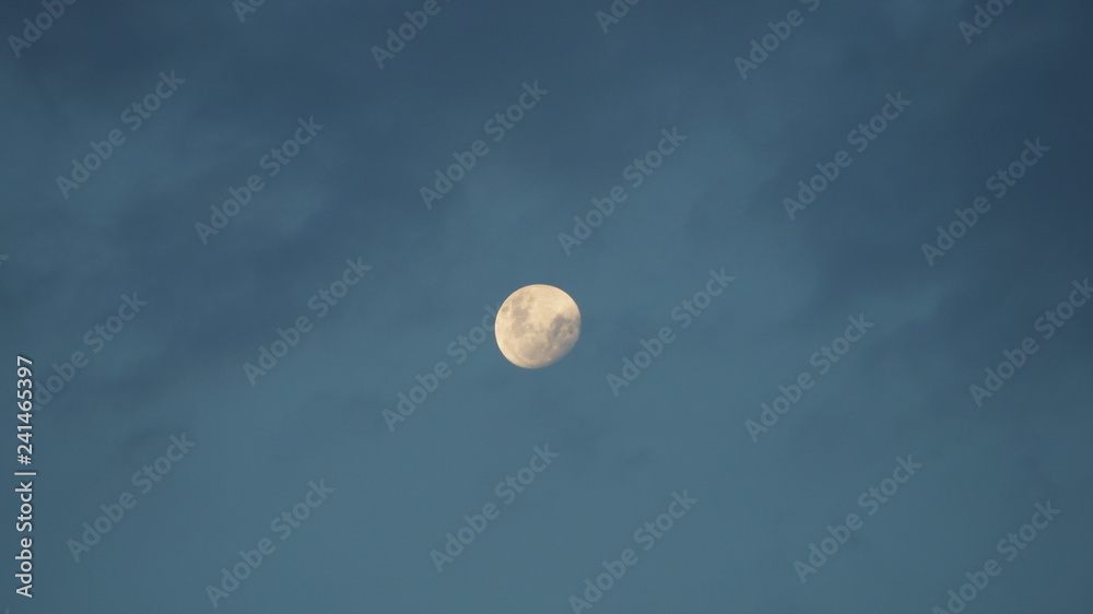 LUNA LUNA