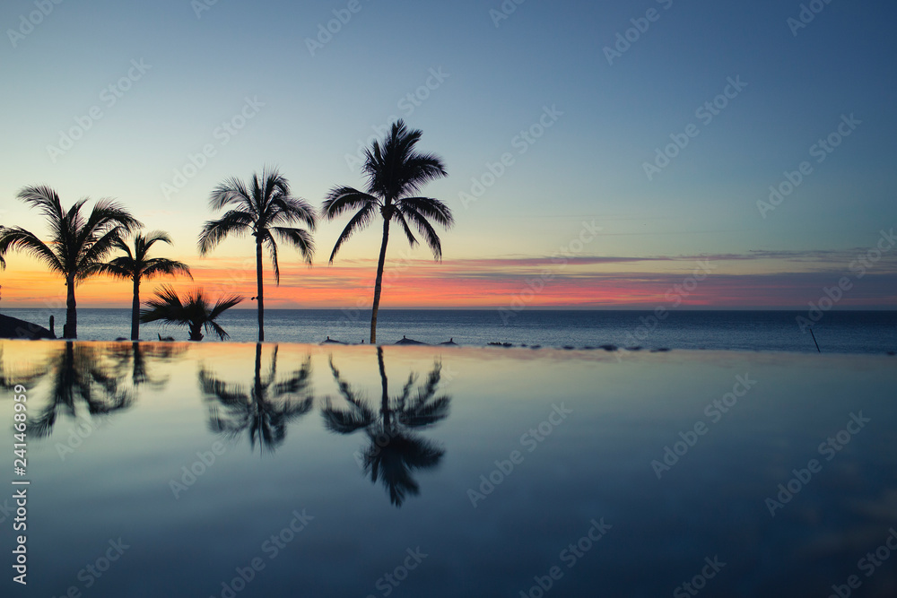 A silhouette of a palm tree reflects on the water of an infinity pool