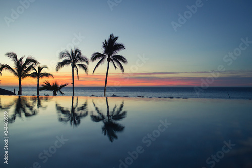 A silhouette of a palm tree reflects on the water of an infinity pool © Ben
