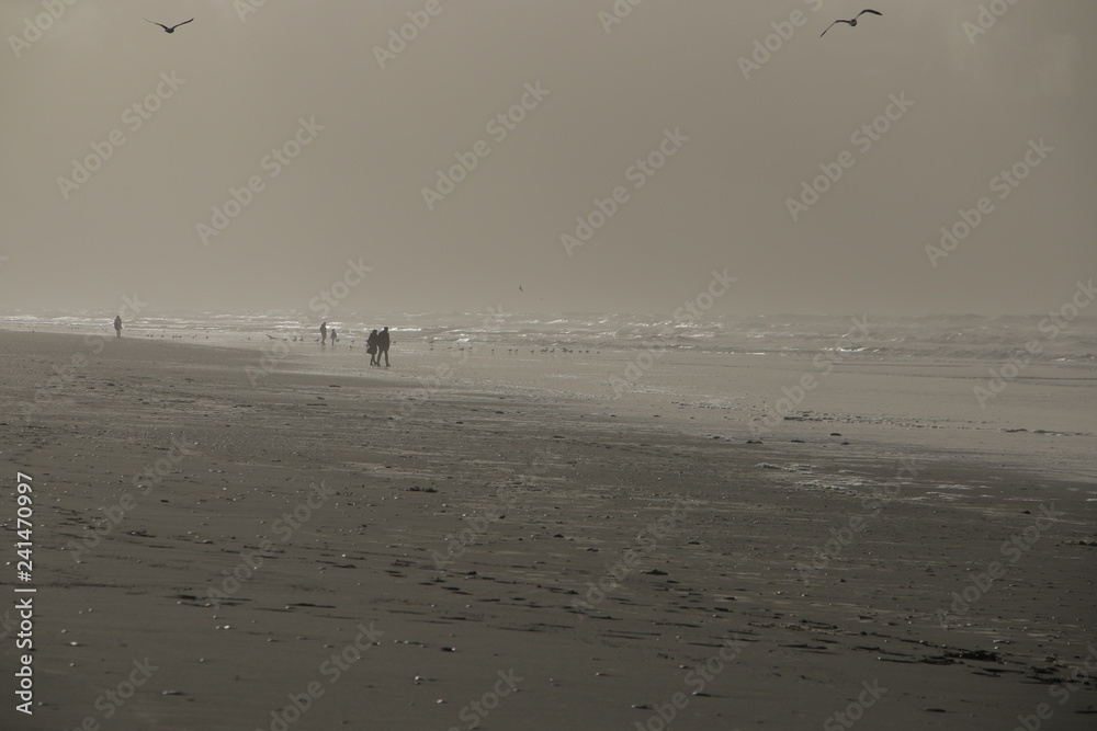 Winter beach Normandy France Le touquet