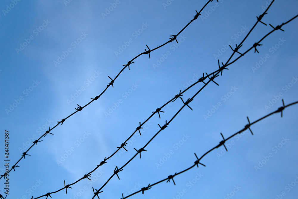 Barbed wire. Barbed wire on fence with blue sky to feel worrying. Barbed wire. Barbed wire on fence with blue sky to feel worrying.