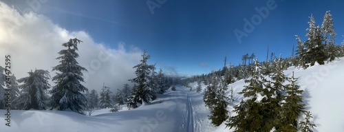 winter landscape scenery with cross country skiing way