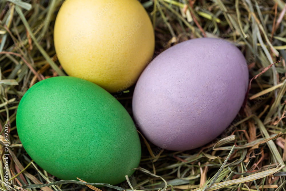 Easter eggs in a nest