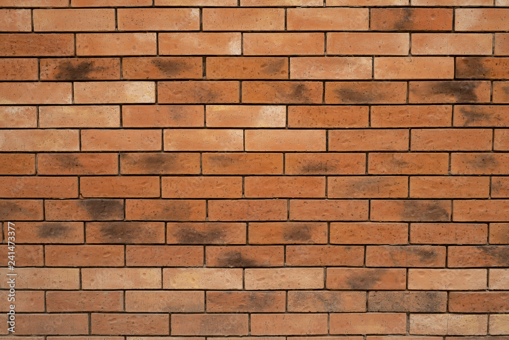 Muro de ladrillos naranja y rojo con manchas negras