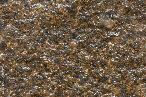 texture background water in the river top view