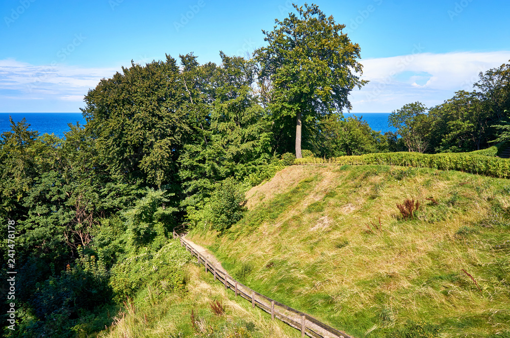 Trail on a slope overlooking the Baltic Sea. In Lohme on the island of Rügen.