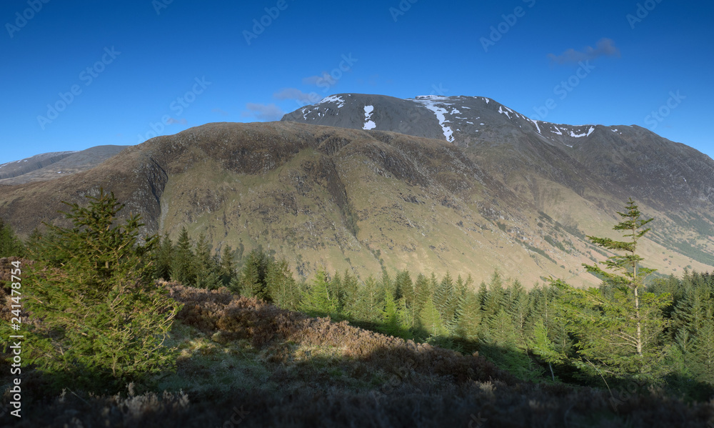 Obraz premium OLYMPUS DIGITAL CAMERA