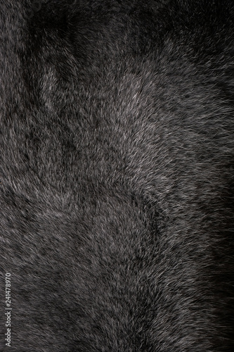 Natural fur for texture or background. Luxury and elegant fluffy clothes.