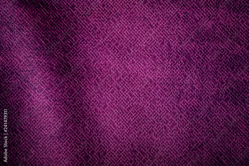 Fototapeta premium snake fur texture