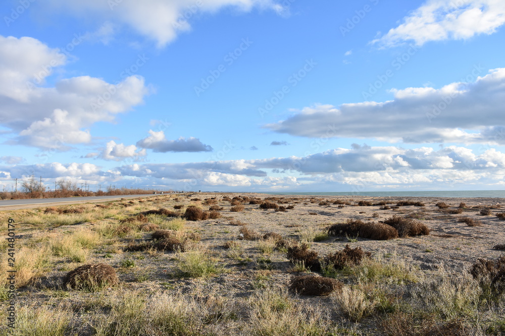 vast of the winter coast