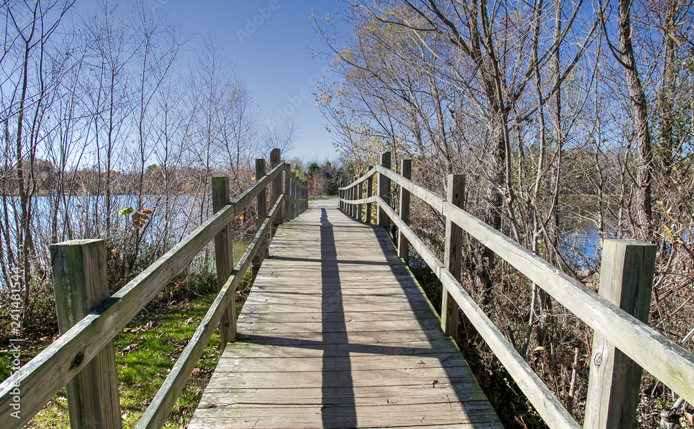 wooden bridge