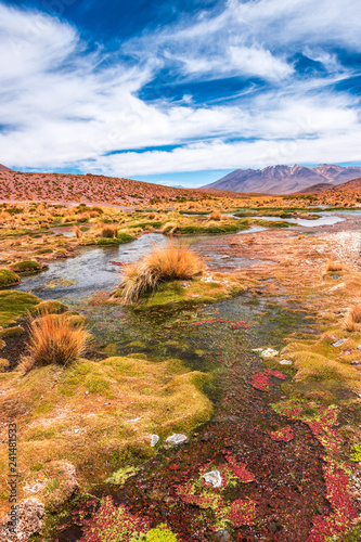 Lagoon landscape in Bolivia