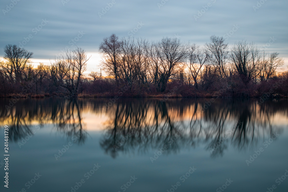 Reflection of bush trees on a lake