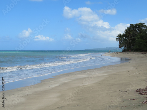 wunderschöner, einsamer Sandstrand im norden der Dominikanischen Republik umgeben vom dicht bewachsenen Dschungel