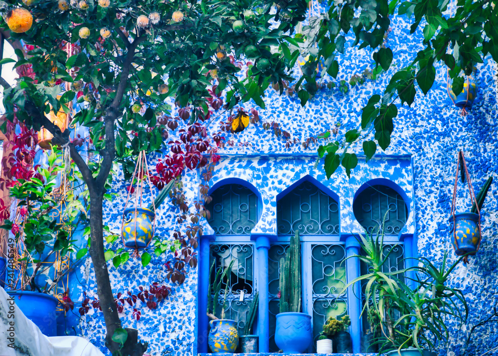 Fototapeta premium Okna w stylu arabskim ozdobione doniczkami i drzewem mandarynki. Wizerunek brać w Chefchaouen, piękna wioska w północnym Maroko