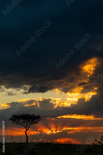 Sunrise on the Masai Mara, Kenya, Africa