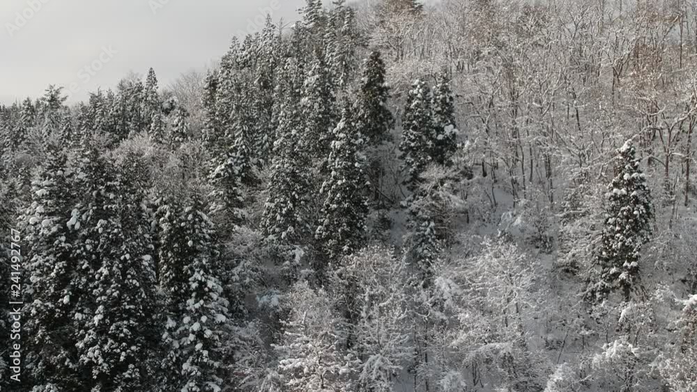 空撮 日本の冬の風景 森林 雪山 雪景色 空撮 日本の冬の風景 森林 雪山 雪景色