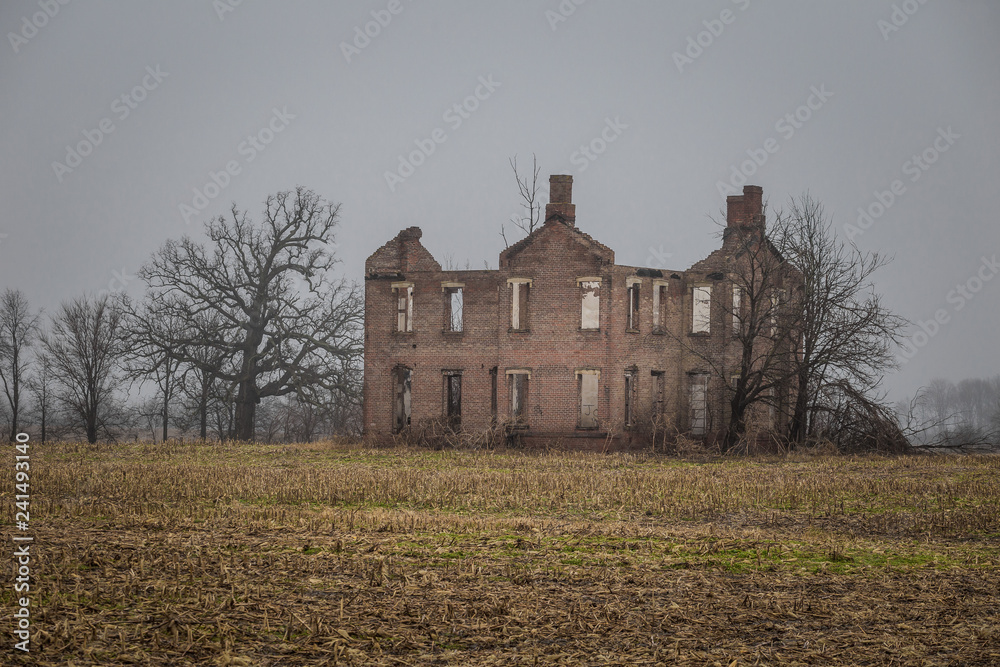 Barren trees surround large abandoned and derelict mansion in field