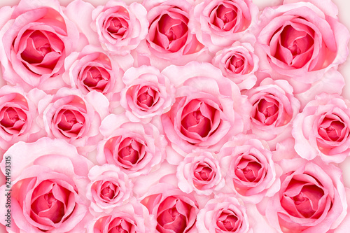 Abstract Background. Fresh flower pink roses wallpaper. love and Valentine's Day.