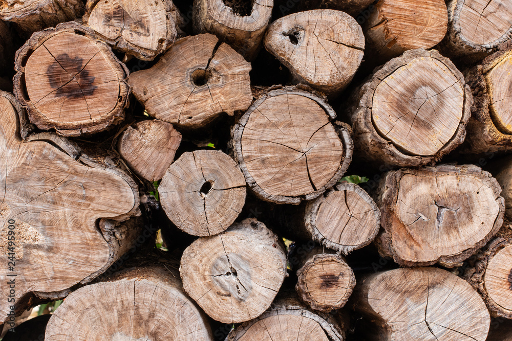 Round teak wood stump background. Round teak wood stump background.