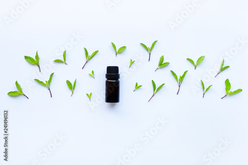 Wallpaper Mural Holy basil essential oil in a glass bottle on white background Torontodigital.ca
