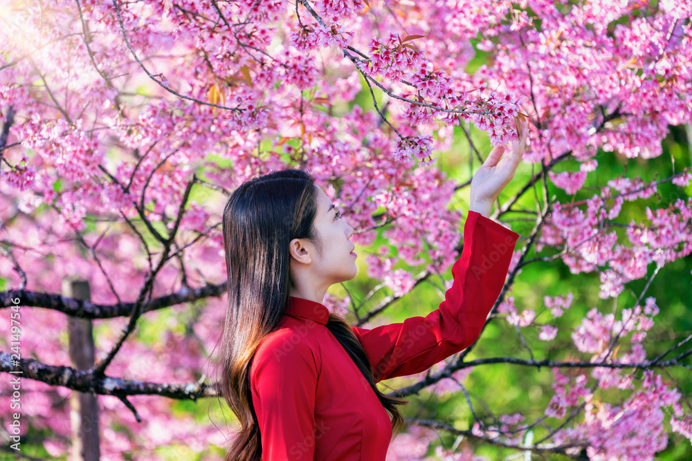 Woman wearing Vietnam culture traditional in cherry blossom park. Woman wearing Vietnam culture traditional in cherry blossom park.