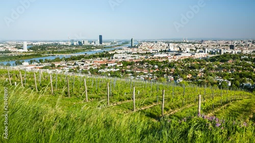 View from a vineyard hill over Vienna, Austria to the Danube river, International Centre and Donaucity.