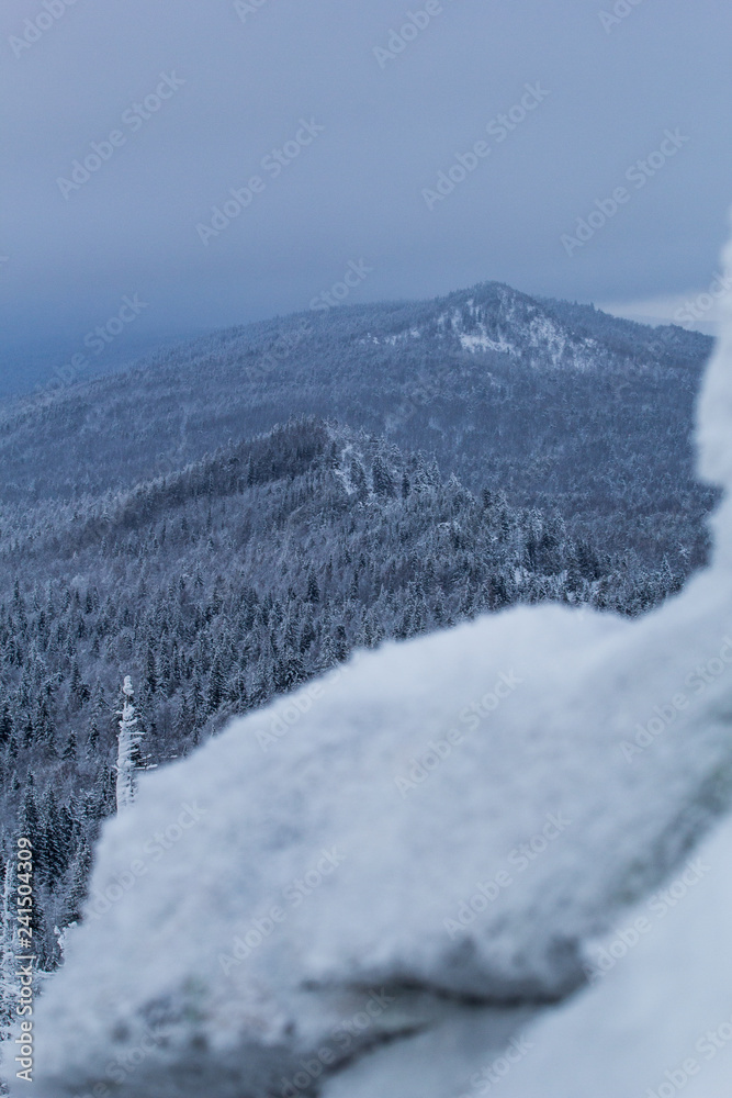 Obraz premium snowy landscape in the mountains