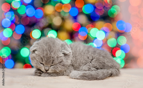 Cute kitten sleep with Christmas tree on background © Ermolaev Alexandr