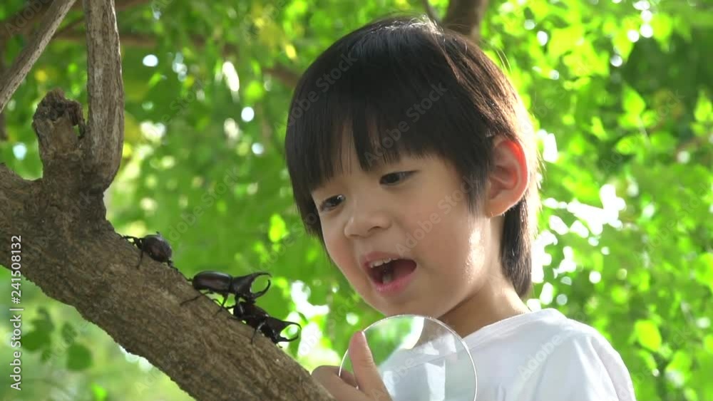 Cute Asian child looking through a magnifying glass at a rhinoceros beetle in the forest 