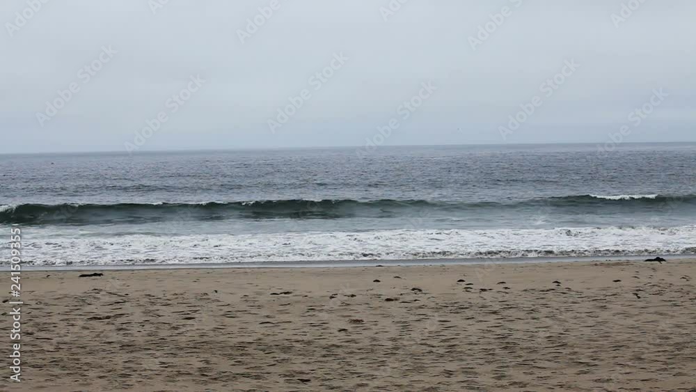 Small Waves Washing Up On Sand Beach Northern California With Overcast Sky Small Waves Washing Up On Sand Beach Northern California With Overcast Sky