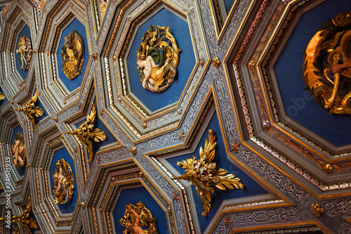 detail of golden ornamental ceiling