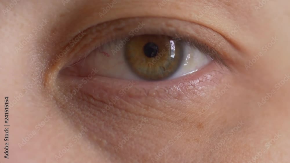 Human eye close up. Eyebrows, eyelashes, eyeball, pupil. Green-yellow color. Shallow focus, blur. Woman, 35 years old Human eye close up. Eyebrows, eyelashes, eyeball, pupil. Green-yellow color. Shallow focus, blur. Woman, 35 years old