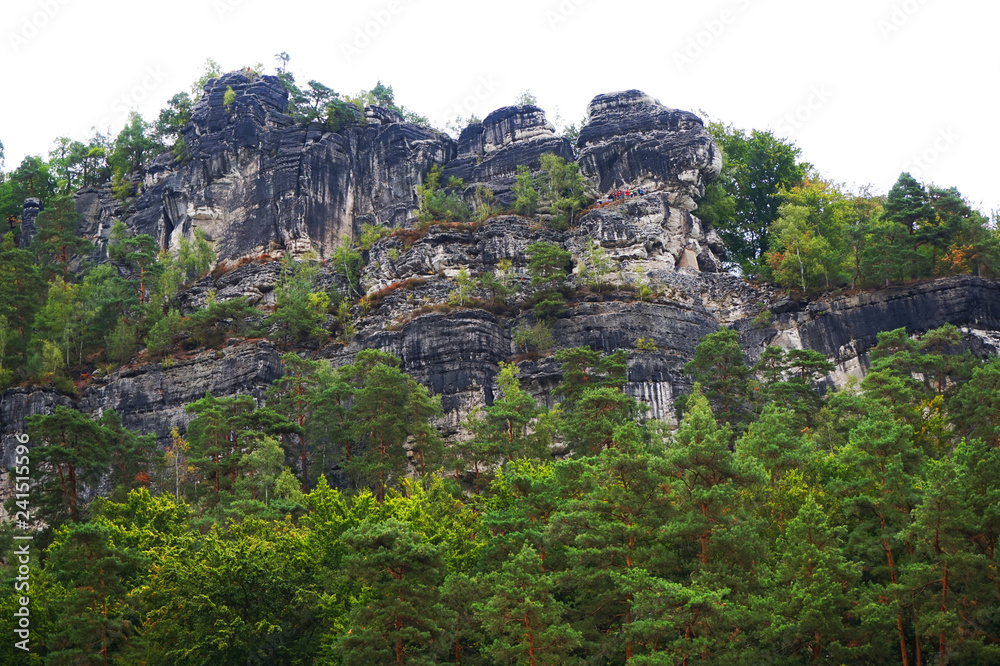 Stunning landscape along river Elbe