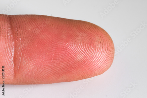 Macro view of a finger print isolated on white background. Royalty high-quality free stock photo image of human fingerprint, papillary lines isolated on white background. Macro photography