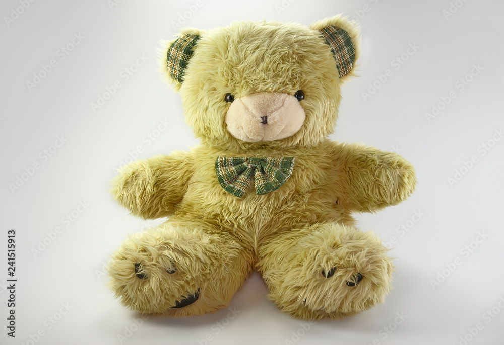 Fototapeta premium Great teddybear against a white background