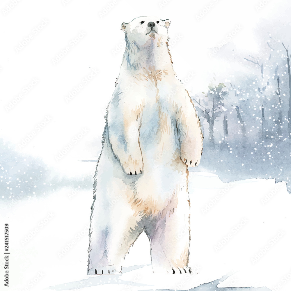 Fototapeta premium Hand-drawn polar bear in the snow watercolor style vector
