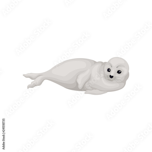 Gray seal pup lying on its side. Animal of Arctic or Atlantic ocean. Cute marine mammal. Flat vector icon