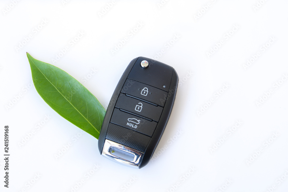 Car key with green leaf Car key with green leaf