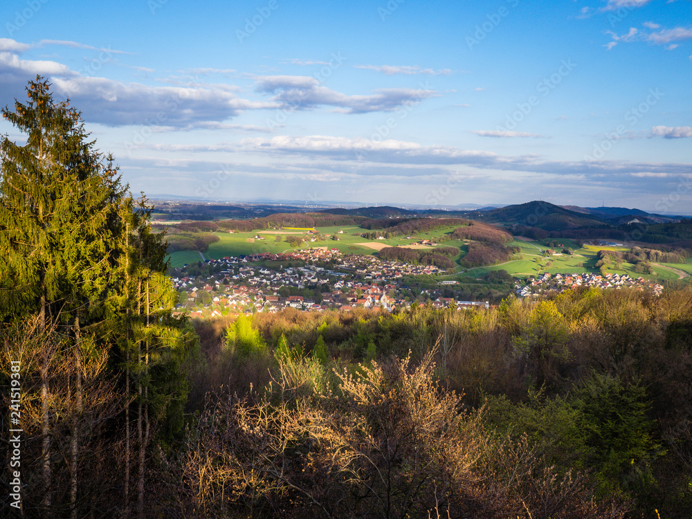 Naklejka premium landscape in autumn