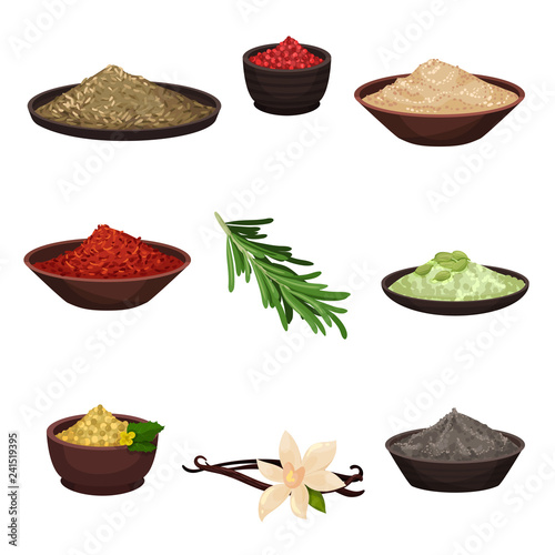 Flat vector set of different seasonings. Organic fragrant ingredients for flavoring dishes. Cooking theme