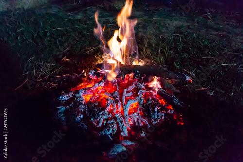 Camp fire at night in the forest