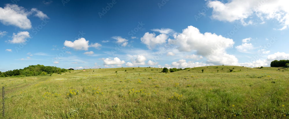 Panoramic view of spring landscape with blue sky and green lawn - space for text Panoramic view of spring landscape with blue sky and green lawn - space for text