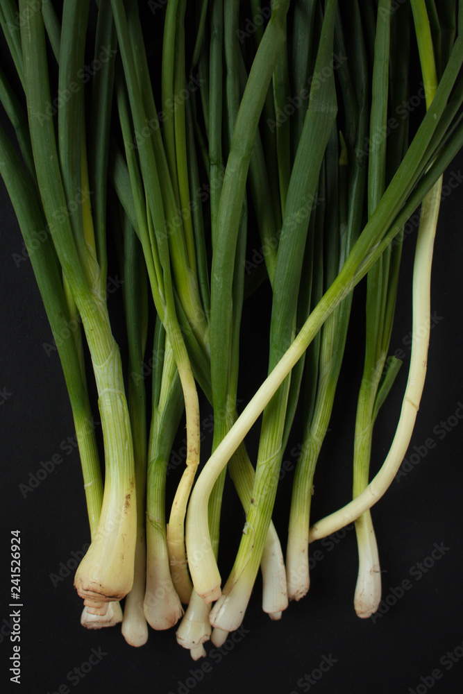 Obraz premium Green onion
