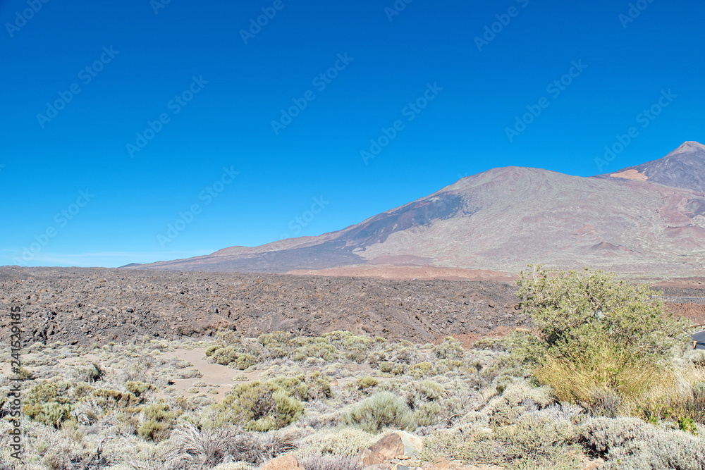 Teide National park, Tenerife, Canary Islands, Spain. - Volcano El Teide .