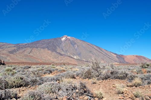 Volcanic landscape of the volcano Teide Valley on Tenerife Canary Islands Spain 