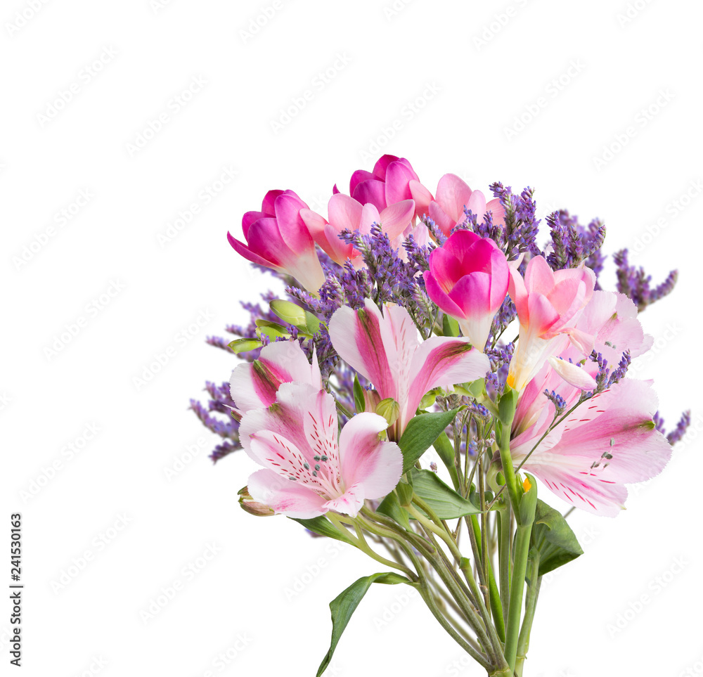 Spring flower isolated on white background Spring flower isolated on white background